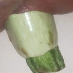 Gay anal zucchini