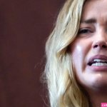 Amber Heard Nude Sex Scenes and Porn 2025