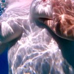 Chubby Redhead Fingering Fat Pussy Porn Videos: Best UHD 4K 2160p XXX 2026