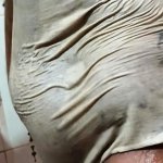 Mallu Nude Bathing Porn Videos: 720p HD XXX 2026