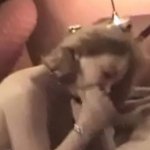Mature married couple have sex on the couch