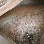 Free picture compilation hairy pussy Porn Photo Galleries