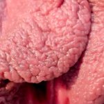 Close-up pussy with extremely detail