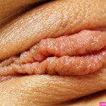 Extreme pussy closeup Porn Pic