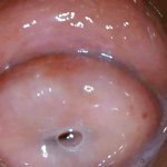 Orgasm In An Inside View