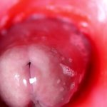 Camera inside the pussy! The wettest and tastiest hole with a big dick inside!