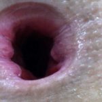 GAPING MY ASS SUPER CLOSE UP FUCKING MACRO!!!
