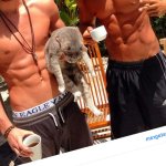 Best Male Videos