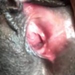 Hairy Ebony Pussy Fingered and Fucked