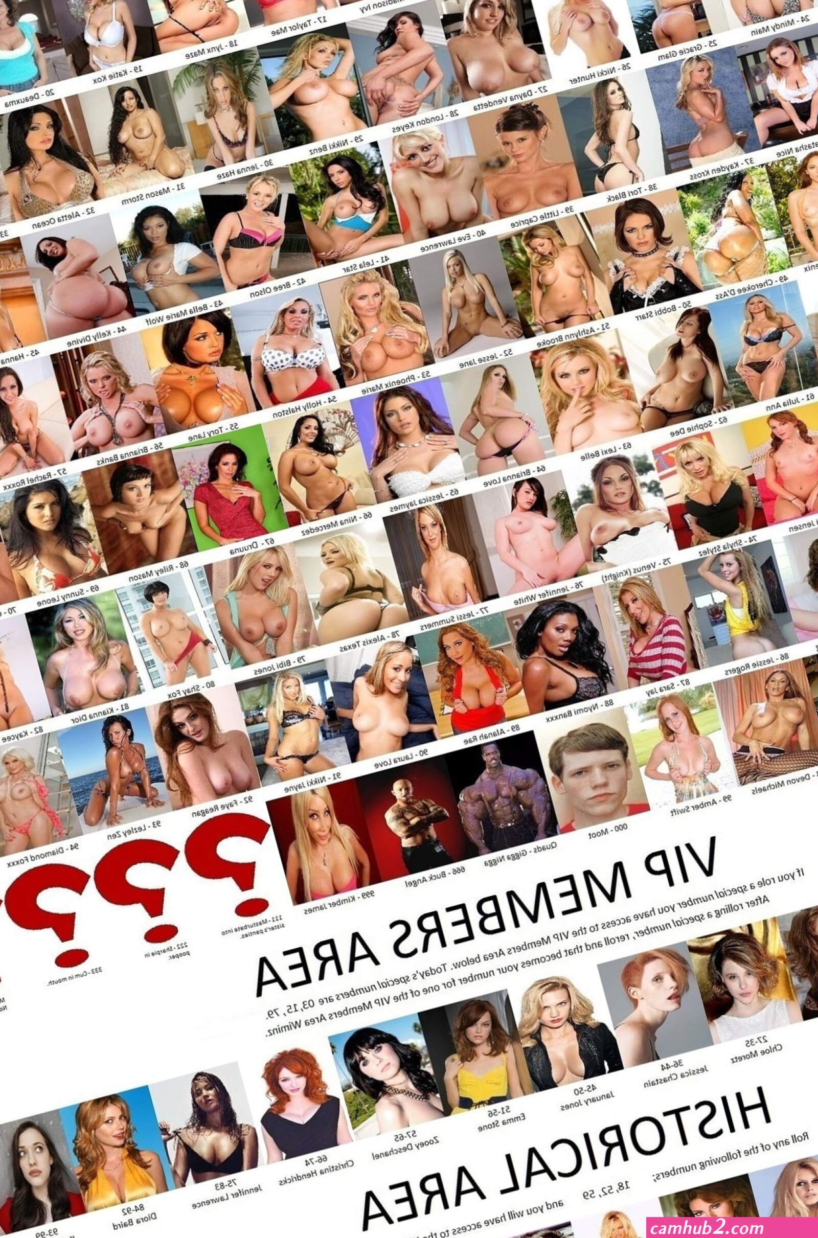 02 03 pornstar (photos)