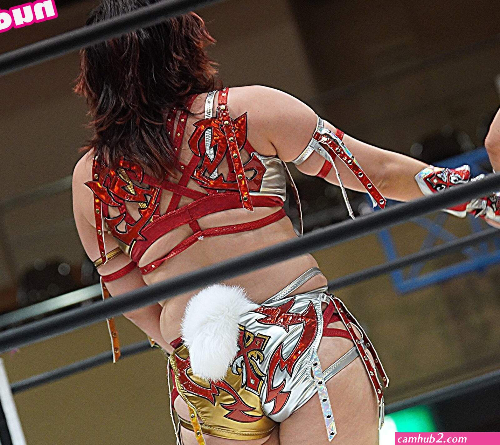 Puroresu / WomenJoshi Nude Leaks OnlyFans