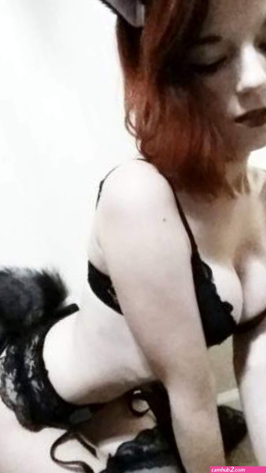 Cat costume anal (photos)