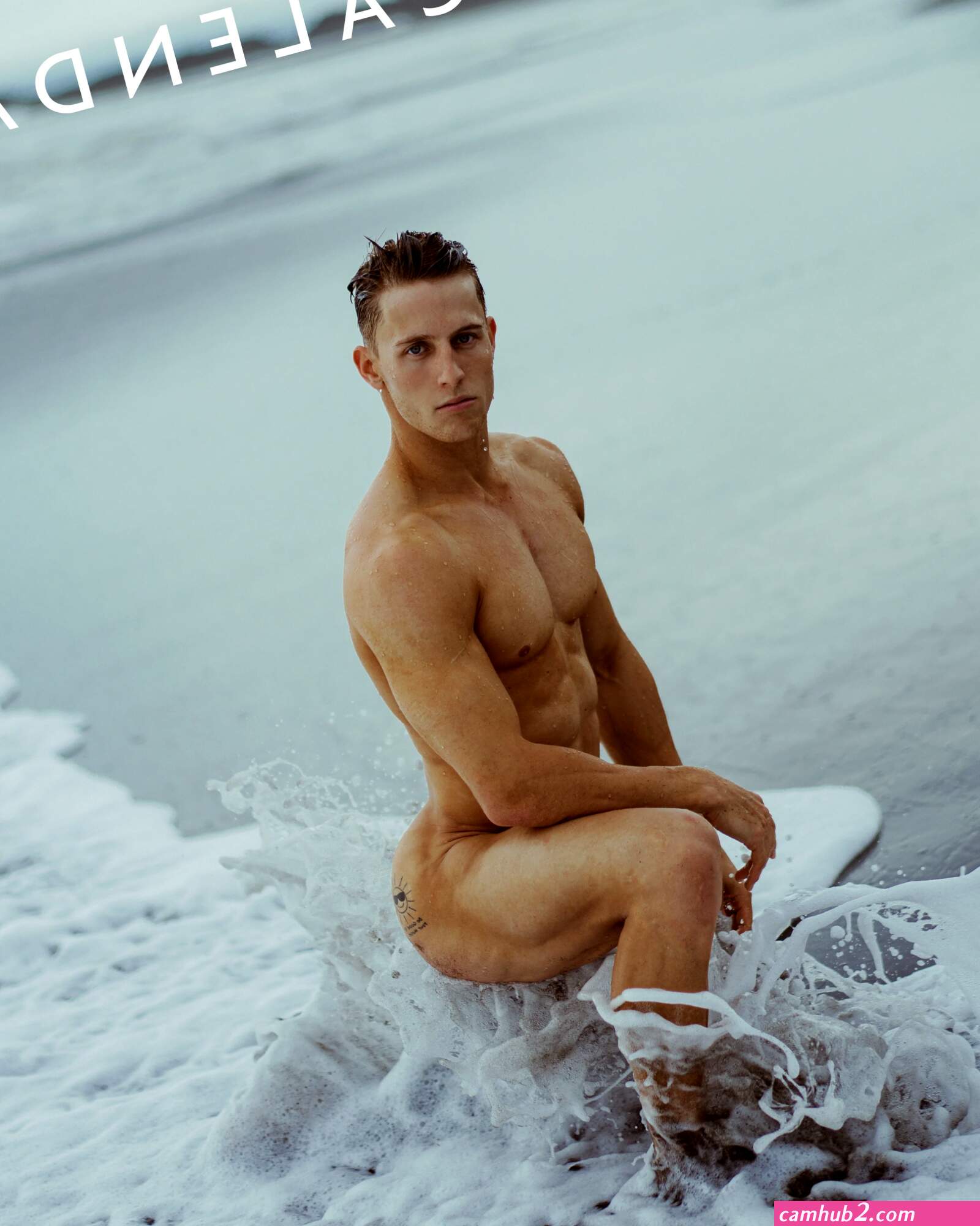 Nude calendar 2026 (photos)