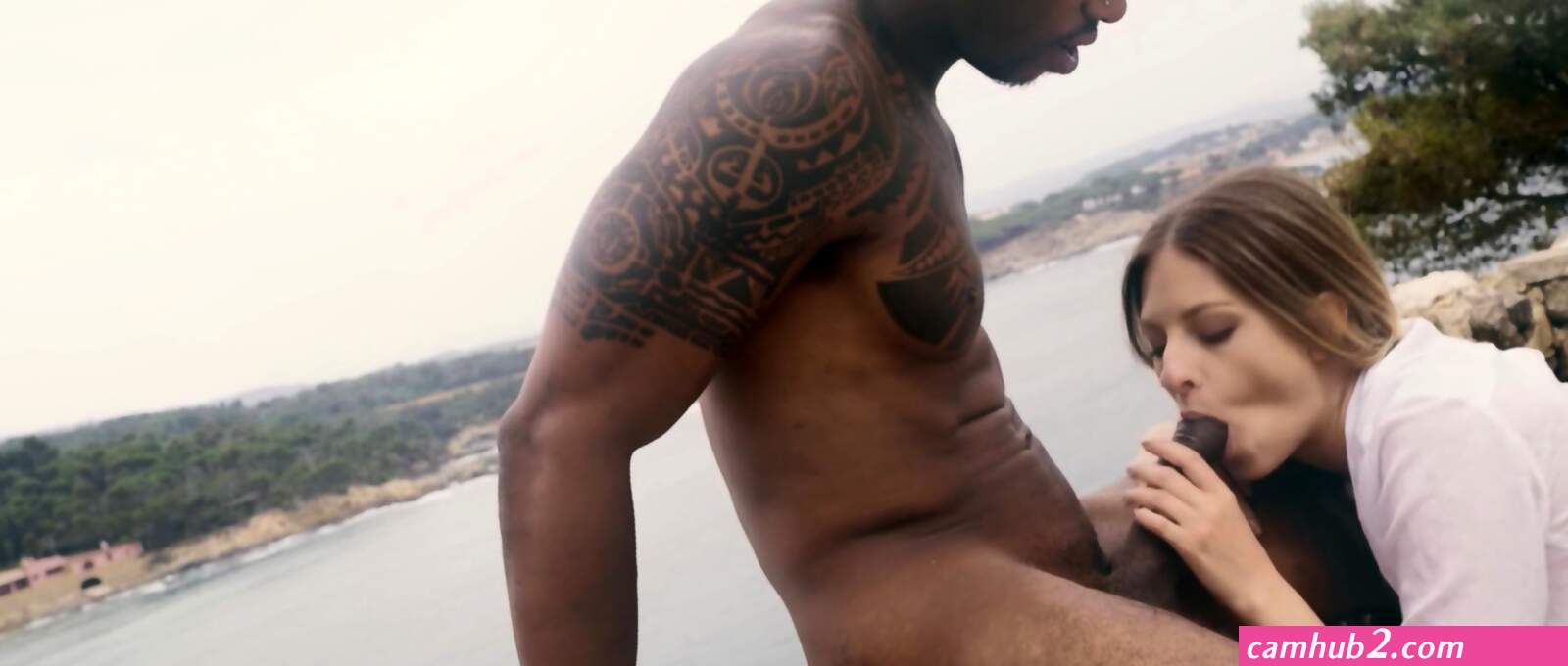 Risky outdoor fuck (photos)