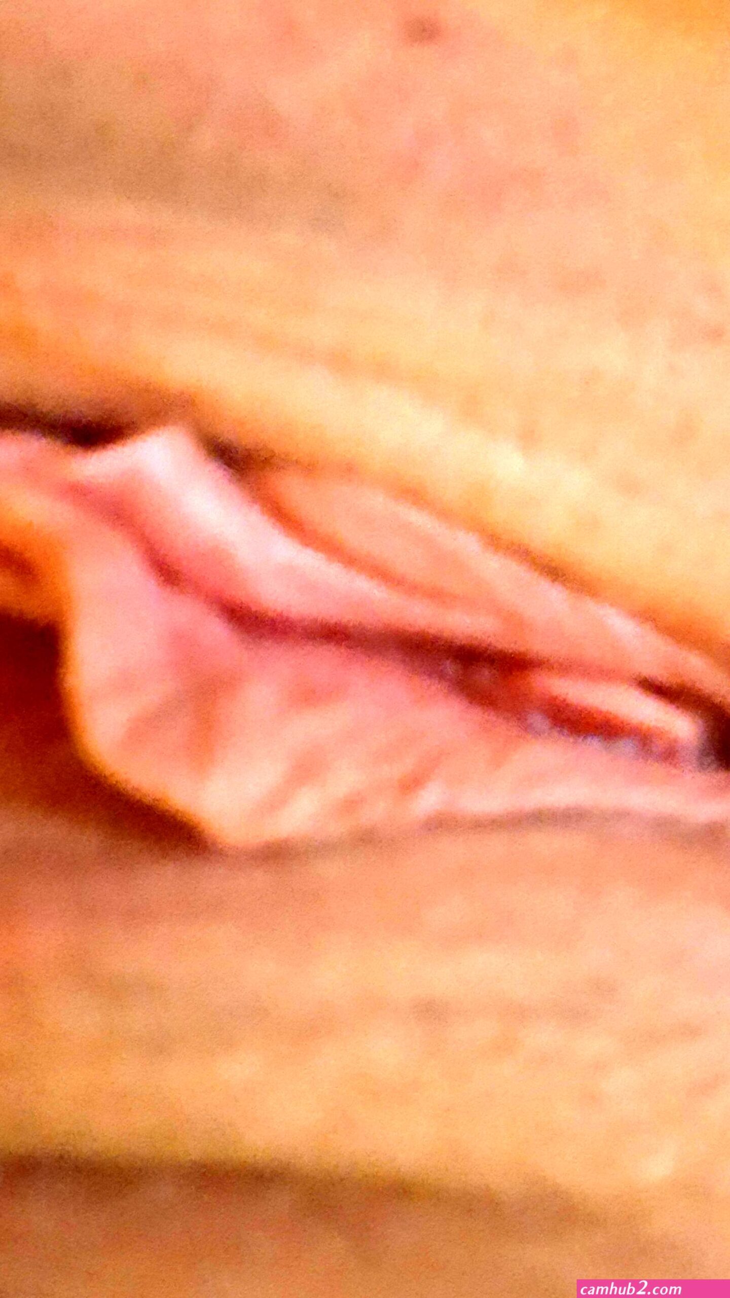 Smooth pink pussy (photos)