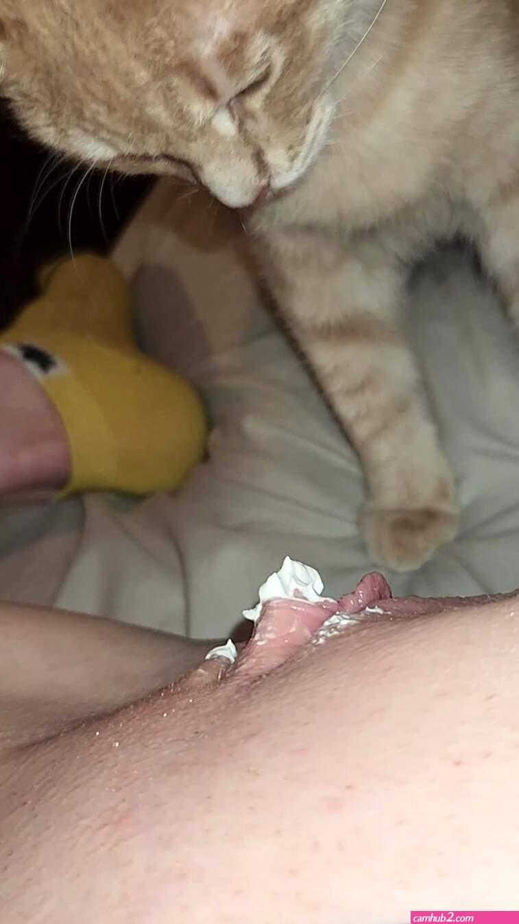 Cat licks pussy (photos)