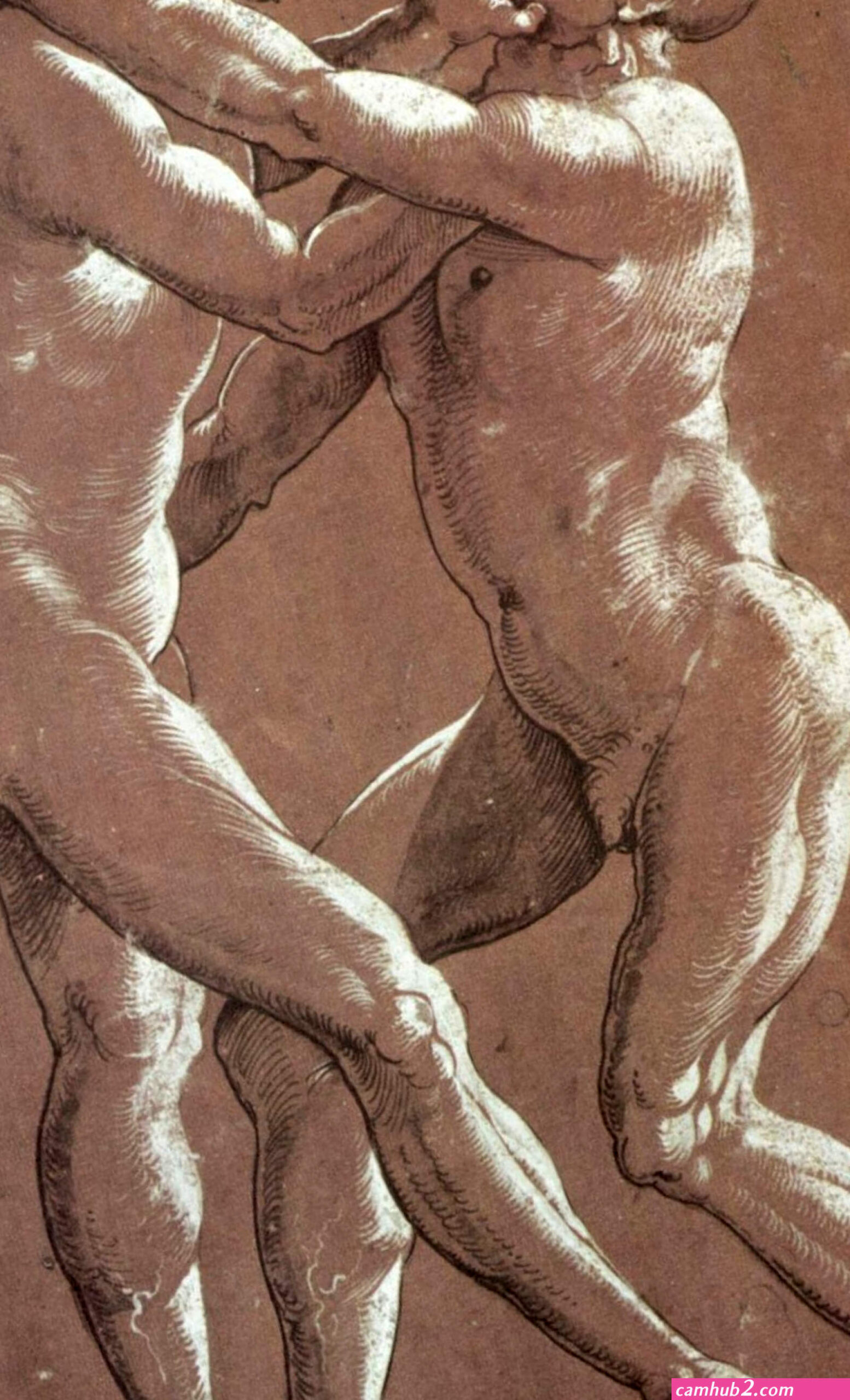 Nude wrestlers (photos)