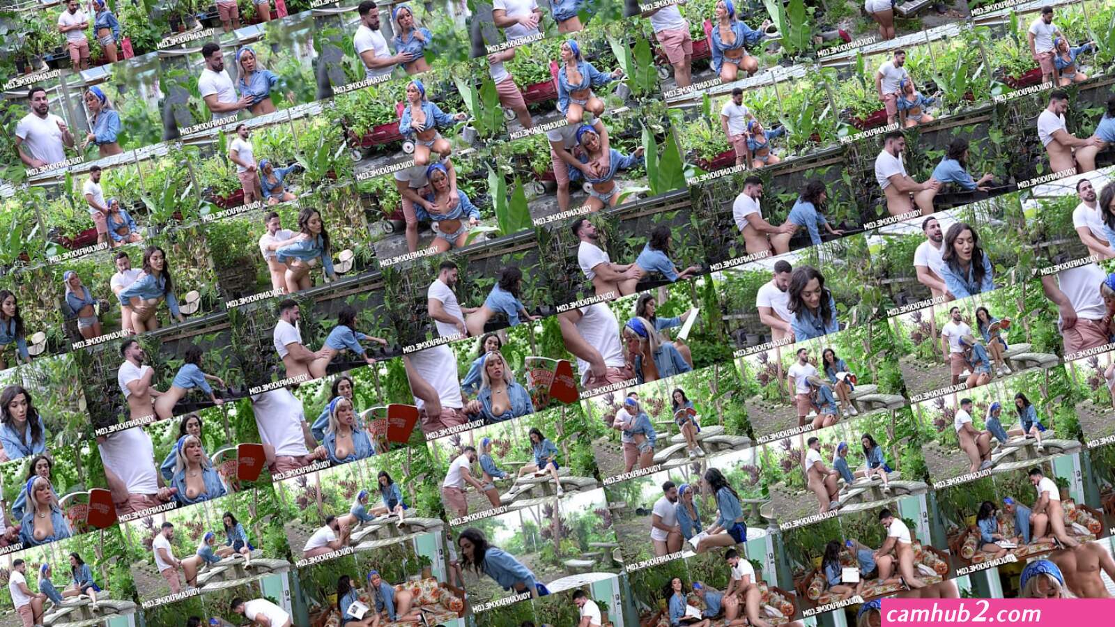Fucking by the ficus (photos)