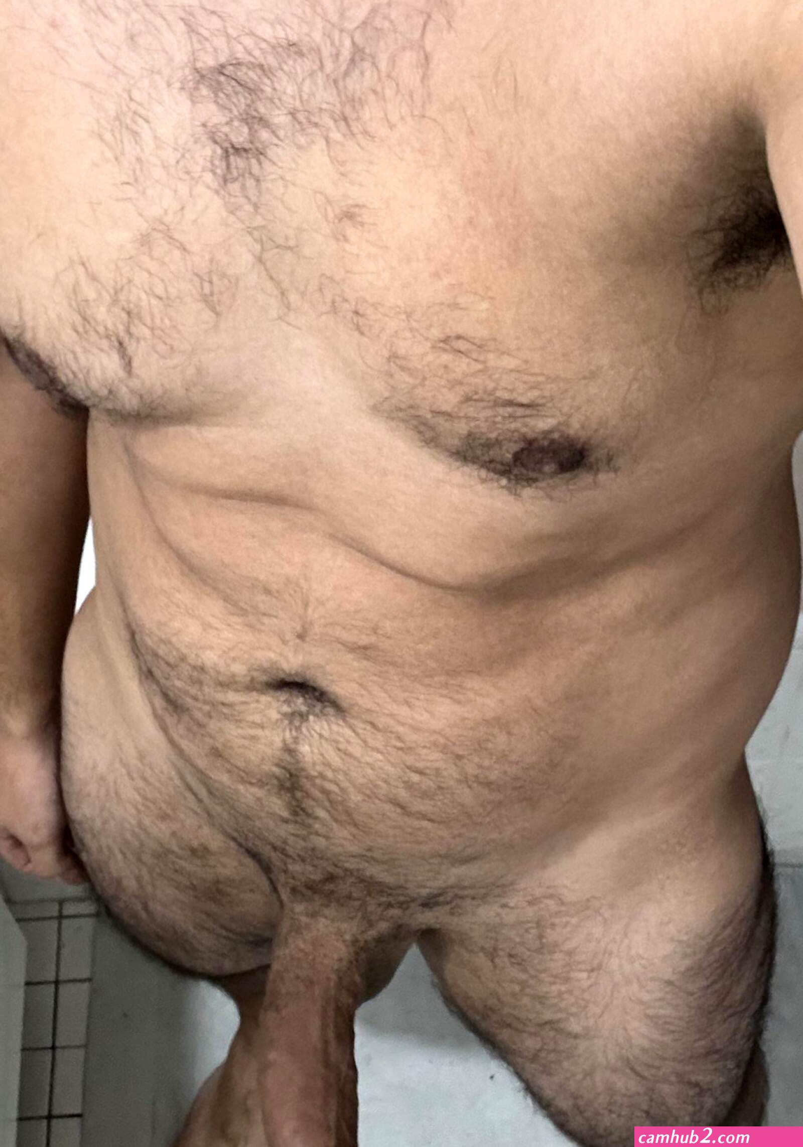 Verga latina (photos)