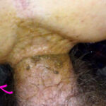 Lovely Dirty Anal Fuck Hardcore Messy