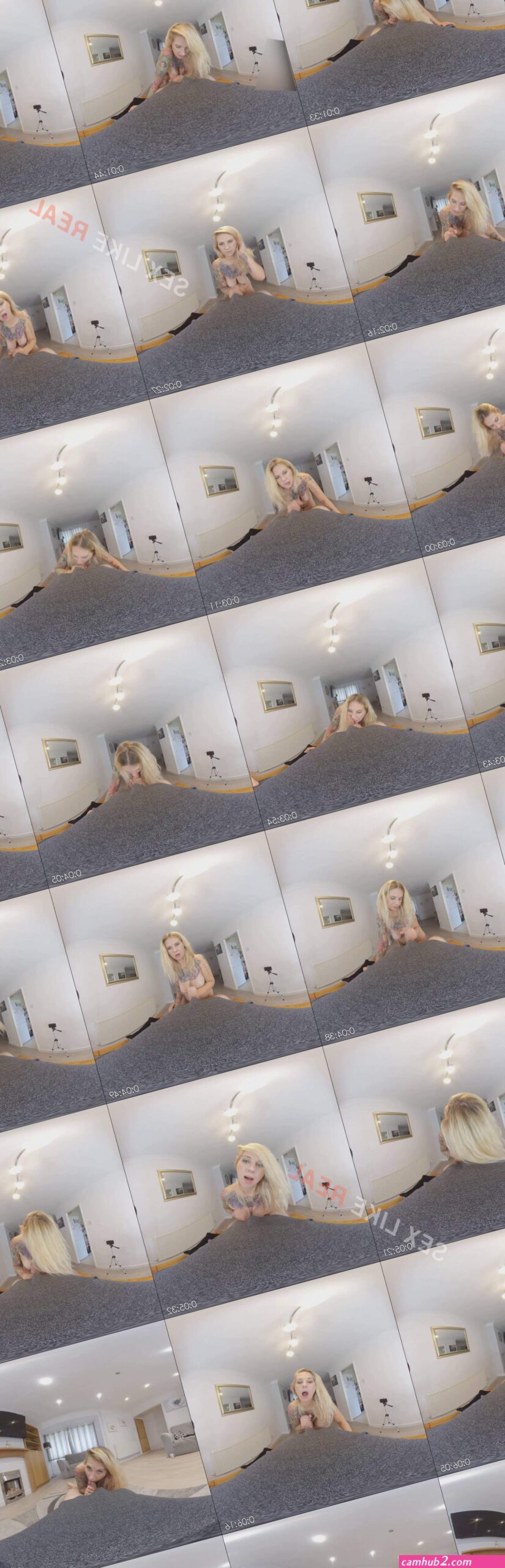 Photographer blowjob tammy (photos)