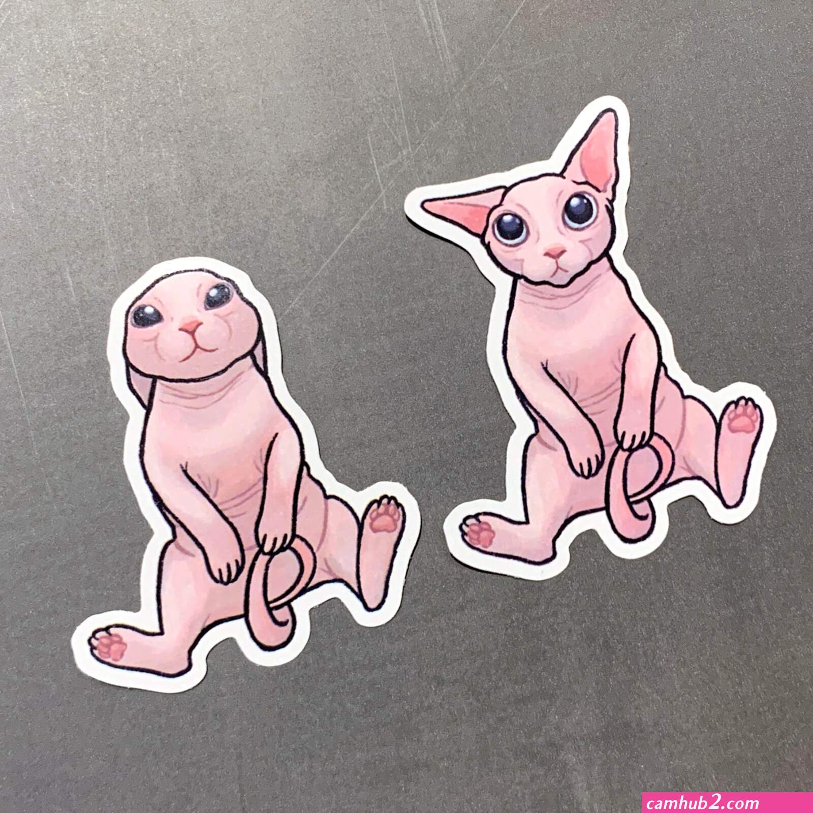 Stokes twins cat naked images (photos)